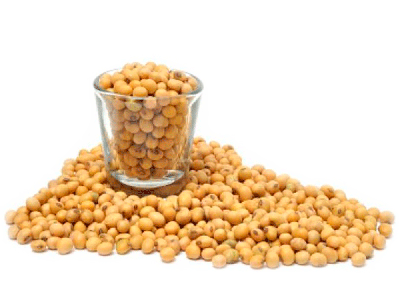 Протравники