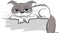 Цілющий котофеномен
