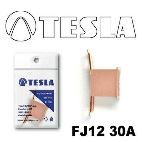Запобіжник TESLA FJ12 "CARTRIDGE" 30A (TS FJ12 30A), фото 1