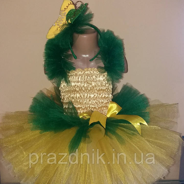 Карнавальний костюм Диня