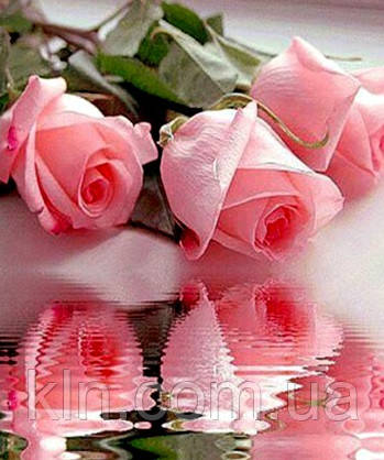 Алмазна мозаїка на ПІДРАМНИКУ 50 х 40 см Мої улюблені троянди (арт. TN072), фото 1