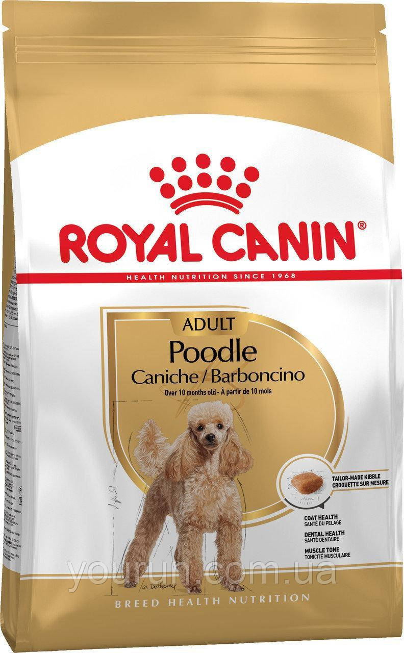 Royal Canin (Роял Канін) Poodle Adult для собак породи Пудель старше 10 міс, 1.5 кг