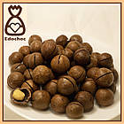 Макадамія НЕ очищена, 1 кг, фото 2