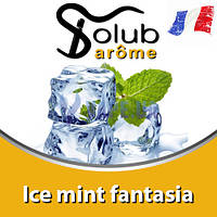 Ароматизатор Solub Arome - Ice mint fantasia (Мята, ментол и куллер), 5 мл.