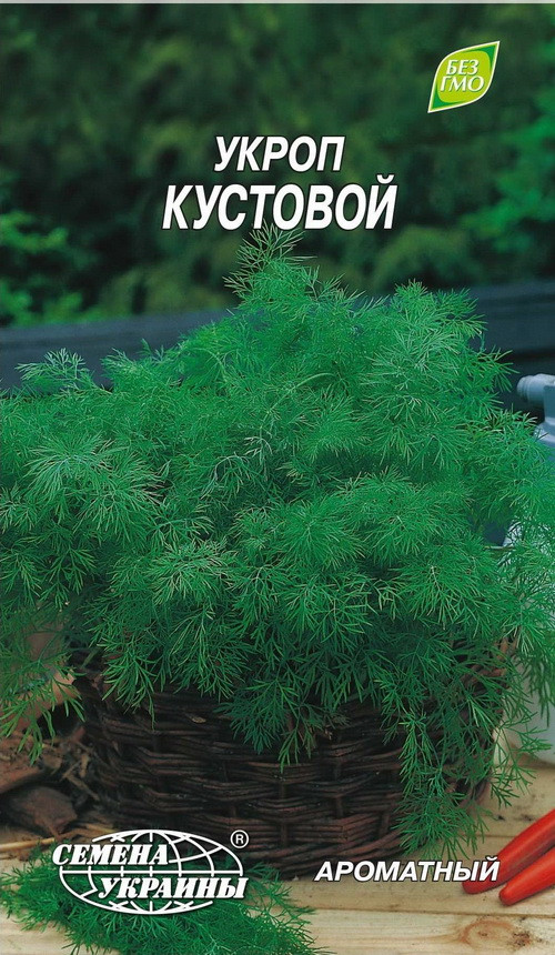 Насіння кропу Кущовий