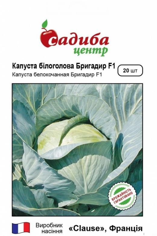 Насіння капусти білочане БРІГАДІР F1 20 шт.