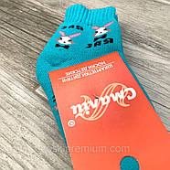 Шкарпетки дитячі бавовна махрові Смалій, 12 розмір, асорті, фото 2