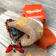 Шкарпетки дитячі бавовна махрові Смалій, 18 розмір, асорті, 10509, фото 2