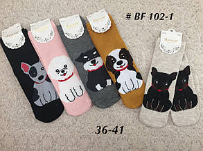 Шкарпетки жіночі з Собачками