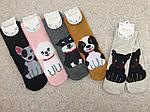 Шкарпетки жіночі з Собачками, фото 2