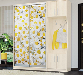 Передпокій - купе з фотодруком КН100 УНІ 90х45х210 см + пенал п9 60х45х210 см Mebel Star