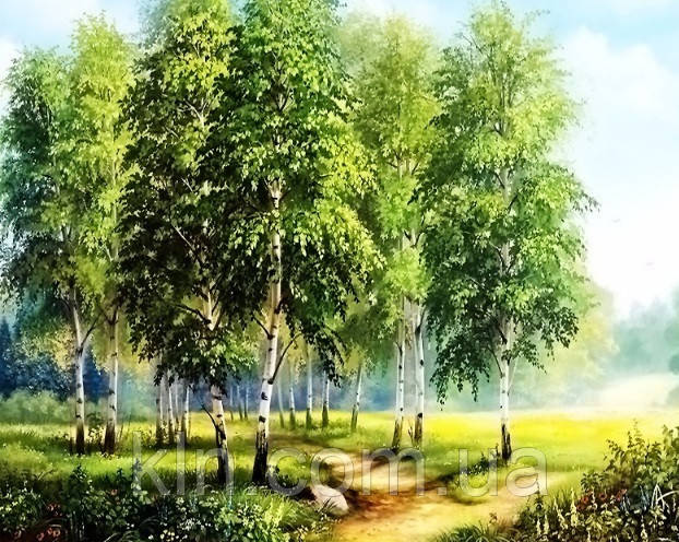 Алмазна вишивка на підрамнику Березовий гай 50 х 40 см (арт. TN485), фото 1