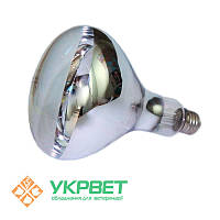 Інфрачервона лампа для обігріву птахів прозора, 100 Вт, Е27