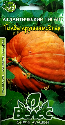 Насіння гарбуза Атлантичний гігант 2г ТМ ВЕЛЕС, фото 2