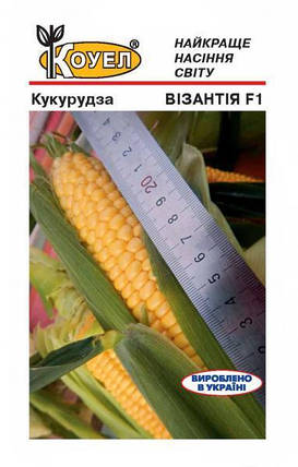 Насіння кукурудзи Візантія F1 5г ТМ КОУЕЛ, фото 1