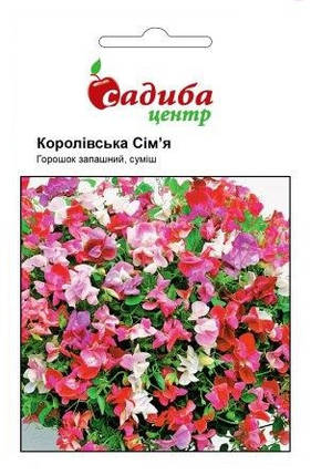 Насіння горошку запашного Королівська сім'я, суміш 0,5 г, Нім Zaden, фото 1