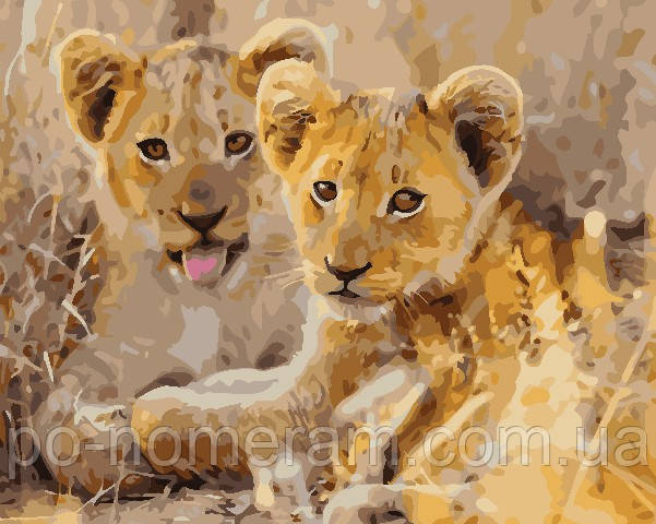 Акційна Малюнок по цифрам ArtStory Левенята (AS0735) 40 х 50 см, фото 1