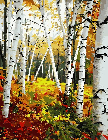 Розмальовка для дорослих ArtStory Березовий гай (AS0825) 50 х 65 см