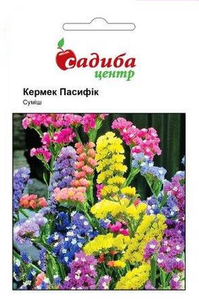Насіння кермек Пасифік суміш 0,2 г, Нім Zaden, фото 1