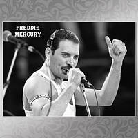 Плакат А3 Freddie Mercury 009
