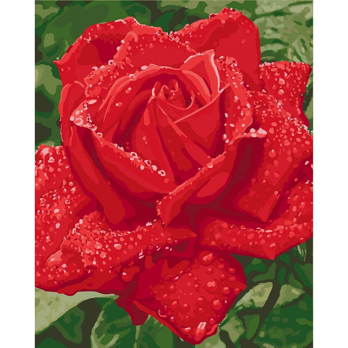 Картина за номерами Ніжність троянди KHO3045 Ідейка 40х50см