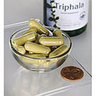Swanson Triphala Трифала 500 мг, 100 капс, фото 2