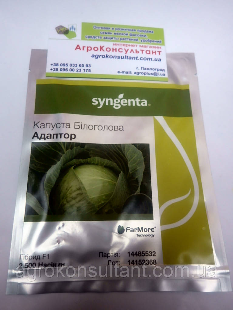 Насіння капусти Адаптор F1 (Syngenta), 2500 насінин — середній гібрид (115-125 днів), білокачанна