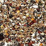 Корм для папуги(10 кг). ЖАКО. Синегала Versele-Laga (Prestige)Mix Premium, фото 5