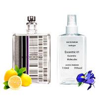 Escentric Molecules Escentric 01 Парфумована вода 110 ml