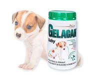 Гелакан Бейби ( Orling Gelacan Baby Aquamin ) | Препарат для для правильного роста, развития щенков 5кг. Чехия