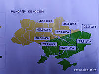 Гібрид соняшника НС 7749 ТОР під гранстар. Соняшник НС СУМО 7749 заразах A-G+, олія 52%. Оптимум, фото 6