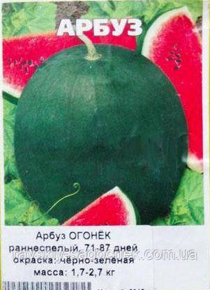 Насіння кавуна Вогник 0,5 кг. Ранній., фото 1