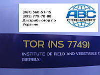 Соняшник ТОР 7+ Сум під Гранстар, Насіння НС 7749 ТОР Сумо 7+ A-G+ 50ц/га, масло 52%. Преміум, фото 3