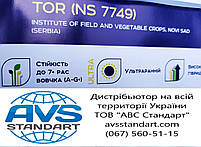 Насіння раннього гібрида ТОР СУМО стійкого до вовчка A-G+, Соняшник СУМО ТОР 7+. Преміум, фото 7