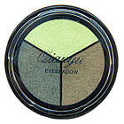 Тіні для Повік Qianyu MS 1203 Триколірні Матові Зелені Тон 08, Декоративна Косметика, Макіяж Очей, фото 4