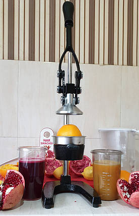 Прес для цитрусових і граната Rauder LSPRM, фото 1