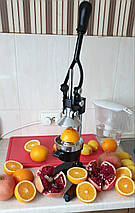 Прес для цитрусових і граната Rauder LSPRM, фото 4