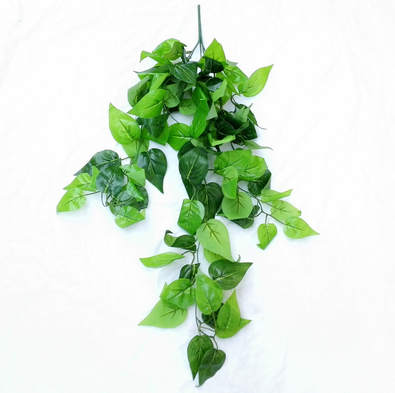 Куст ампельный (латекс)