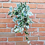 Штучний кущ Плющ (латекс) 60 см, фото 2