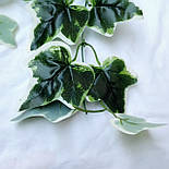 Штучний кущ Плющ (латекс) 60 см, фото 3