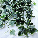 Штучний кущ Плющ (латекс) 60 см, фото 4