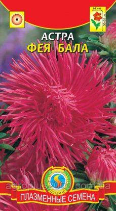 Насіння Астра голчасте Фея Бала 0,3 грама Агроніка