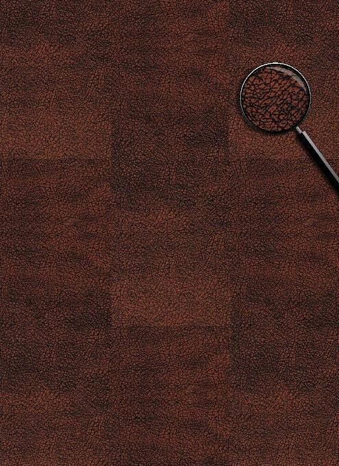 Шкіряний підлогу Bison Oxsyd плаваючий Швейцарія