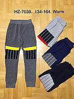 Спортивные утепленные штаны для мальчиков оптом, Active Sports, 134-164 см, № HZ-7039