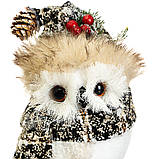Декор новорічний "Мудра сова" (20х10 см) іграшка, фото 2