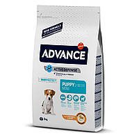 Корм Advance (Эдванс) Dog Mini Puppy для щенков мини пород (курица+рис), 3 кг