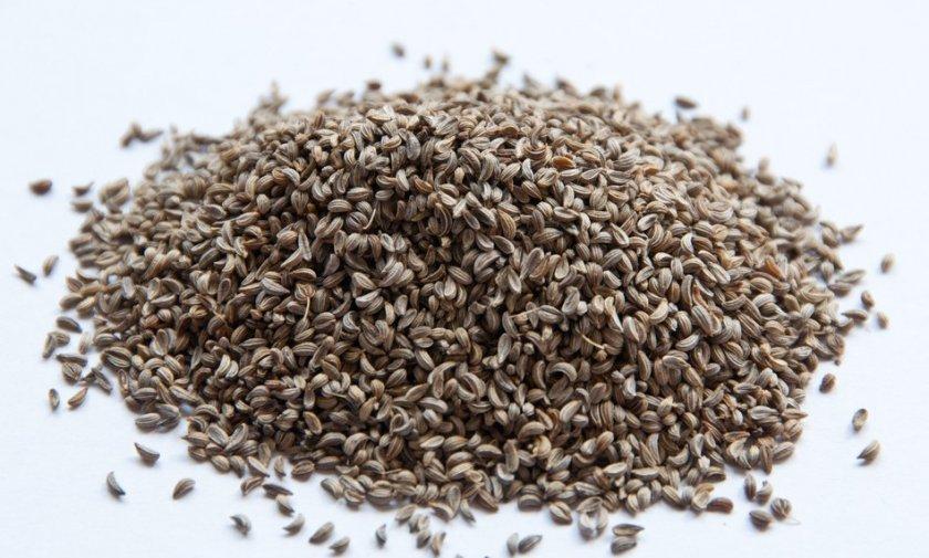 Петрушка (насіння ціле), 100г., фото 1