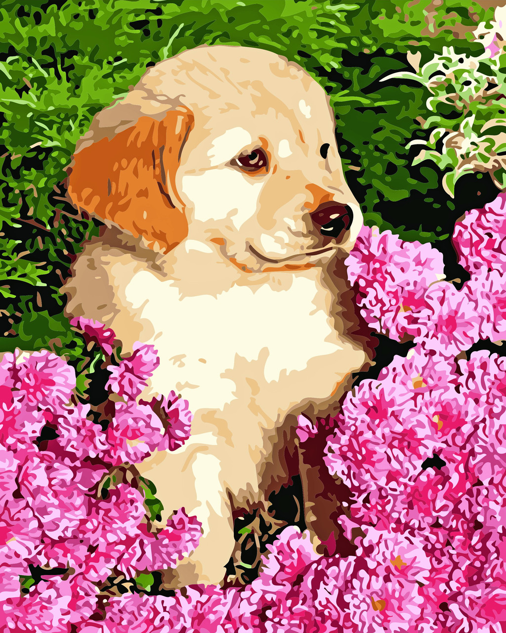 Художній творчий набір, картина за номерами Бешкетник, 40x50 см, «Art Story» (AS0558)