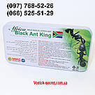 Препарат для потенції Black Ant King, Король Чорний Муравей 12+12табл, фото 8