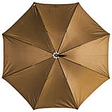 Парасолька-тростина, двоколірна, фото 9